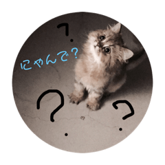 [LINEスタンプ] うちの子 さくれ