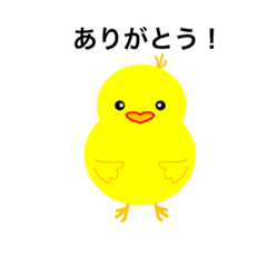 [LINEスタンプ] ピヨコちゃん！
