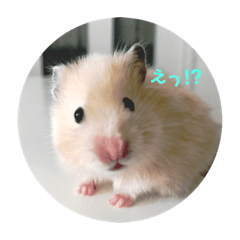 [LINEスタンプ] みなみん