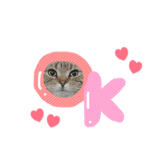 [LINEスタンプ] 坪倉専用stamp✧︎*。