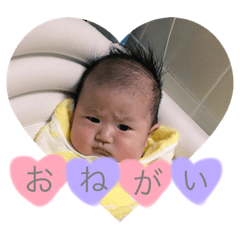 [LINEスタンプ] あおちゃんスタンプ！！！
