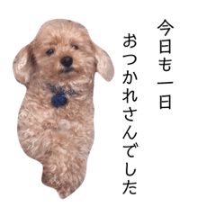 [LINEスタンプ] ショコラコレクション one