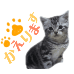 [LINEスタンプ] 中島さん家のそらくん