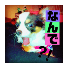 [LINEスタンプ] ワンダーランド①