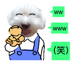 [LINEスタンプ] チワワとマルチーズ