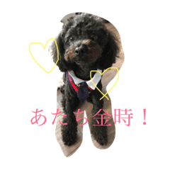 [LINEスタンプ] きんときラブ①