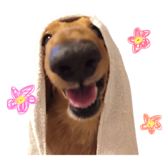 [LINEスタンプ] みるおさん