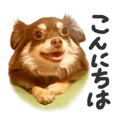 [LINEスタンプ] わんこフォトスタンプ2018