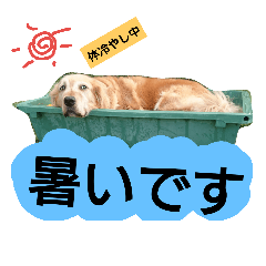 [LINEスタンプ] 可愛いふぅちゃん