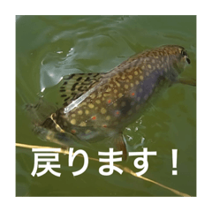 [LINEスタンプ] 魚のキモチ