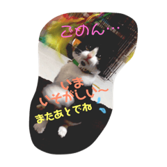 [LINEスタンプ] 金原家