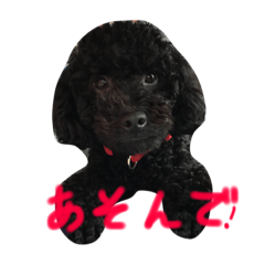 [LINEスタンプ] 黒トイプーソウルくん