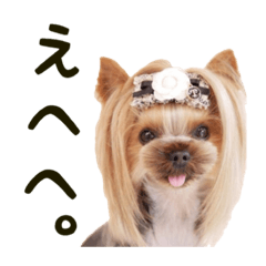 [LINEスタンプ] ヨーキートッポ君の日常3