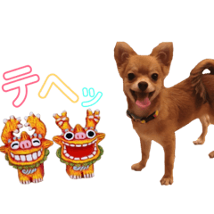 [LINEスタンプ] 森家ふーたの日常