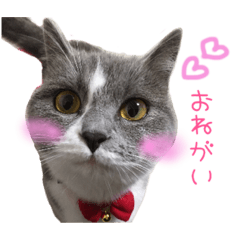 [LINEスタンプ] キキ0歳～2歳