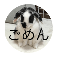 [LINEスタンプ] ゆっことぶっこ