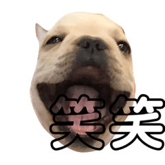 [LINEスタンプ] boss2.