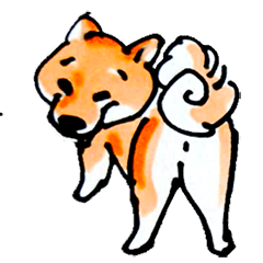 [LINEスタンプ] 柴犬むぎ の幸福な日常。