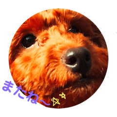 [LINEスタンプ] 俺たちの愉快な仲間達2