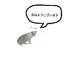 [LINEスタンプ] 使える敬語 しろまめ