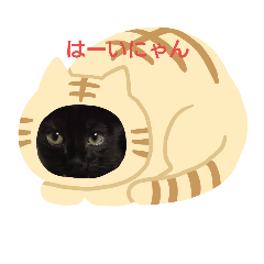 [LINEスタンプ] 黒猫チョコのスタンプ
