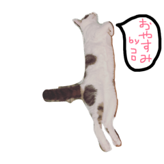 [LINEスタンプ] コロマロチョロ