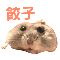 [LINEスタンプ] もぐ(ハムスター)