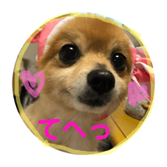 [LINEスタンプ] うちのちいたん