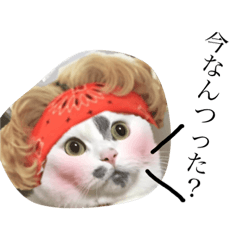 [LINEスタンプ] 誰か買って？