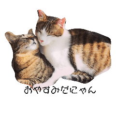 [LINEスタンプ] ちゃるしう
