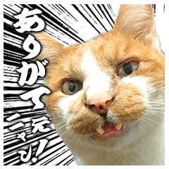 [LINEスタンプ] フニャンクスタンプ