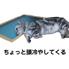 [LINEスタンプ] 小太郎のすたんぷ