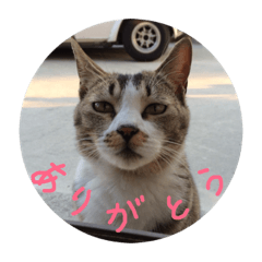 [LINEスタンプ] ぐれ