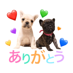 [LINEスタンプ] カラ♡モナ's