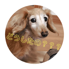 [LINEスタンプ] POTATO    1