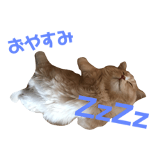 [LINEスタンプ] ラテのスタンプ