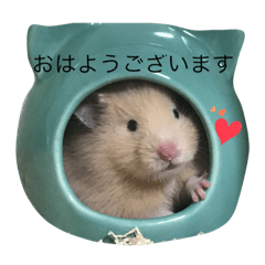 [LINEスタンプ] キンクマハムスターのあんず