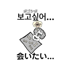 [LINEスタンプ] 韓国語と日本語を使う柴犬②
