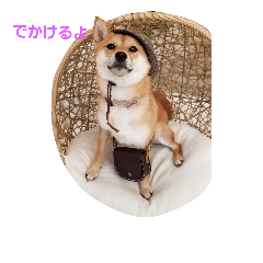 [LINEスタンプ] 豆柴もこ