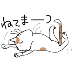 [LINEスタンプ] うち猫ズ