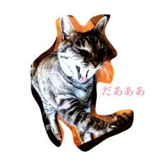 [LINEスタンプ] じょー 16歳