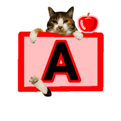 [LINEスタンプ] フリップラブリー三毛猫(英数字編)