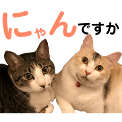 [LINEスタンプ] うるぬんさん