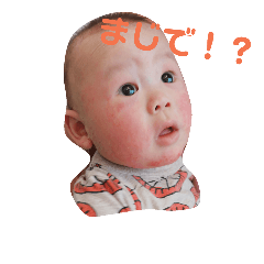 [LINEスタンプ] 陸ちゃんこ