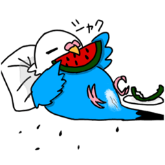 [LINEスタンプ] 暑インコ