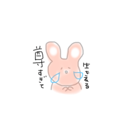 [LINEスタンプ] 日頃使う言葉、うさぎを添えて