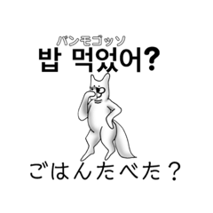 [LINEスタンプ] 韓国語と日本語を使う柴犬♡1