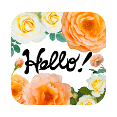 [LINEスタンプ] 日々彩る、お花のスタンプ