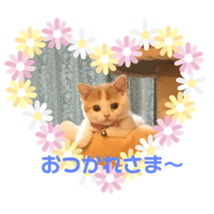 [LINEスタンプ] ゆめとめい