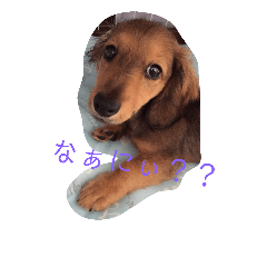 [LINEスタンプ] ちょこ3